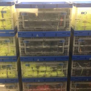 cajas de plástico ventiladas